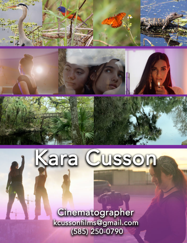 Kara Cusson Visual Resume