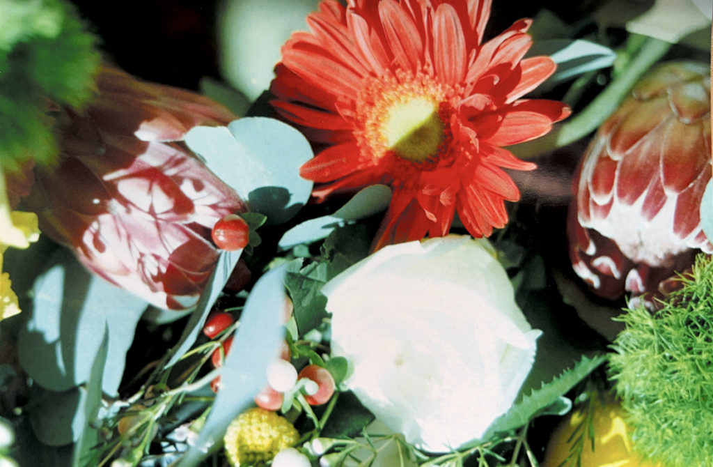 My First Film Photo, in the style of my grandfather's photography (June 2019)