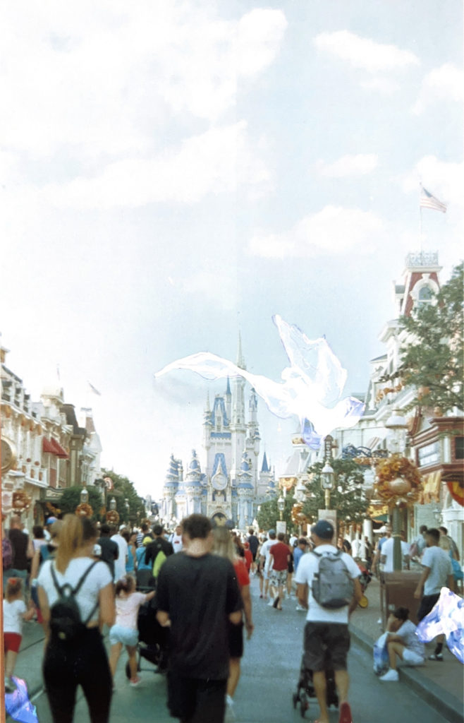 Walt Disney World, 50th Anniversary (Aug. 2022)